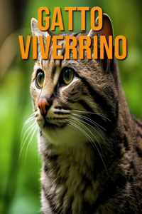 Gatto viverrino