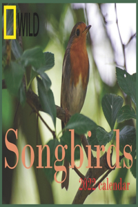 Songbirds calendar 2022