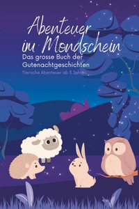 Abenteuer im Mondschein