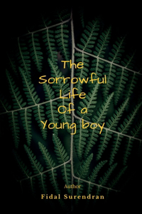 Sorrowful Life Of A Young Boy