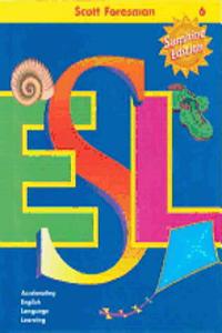 Sf Esl Sun Ed Lvl 6 N/Com Tchg Sug