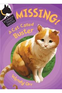 Missing! A Cat Called Buster