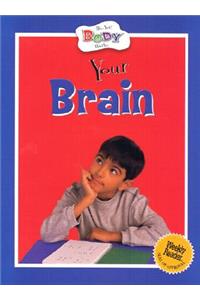 Your Brain