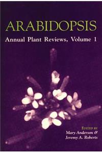 Arabidopsis