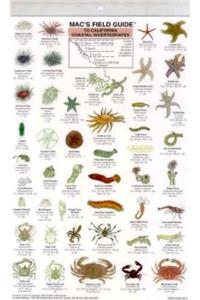 Mac's Field Guides: California Coastal Invertebrates