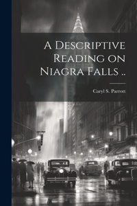 A Descriptive Reading on Niagra Falls ..