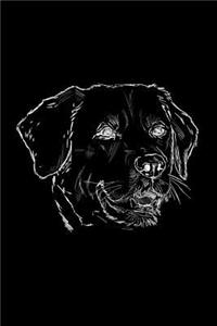 Hundetagebuch