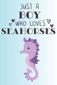 Just A Boy Who Loves Seahorses