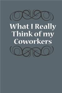 What I Really Think Of My Coworkers