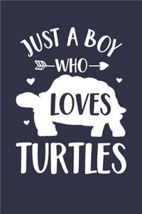 Turtle Journal - Just A Boy Who Loves Turtles Notebook - Gift for Turtle Lovers