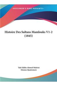 Histoire Des Sultans Mamlouks V1-2 (1845)