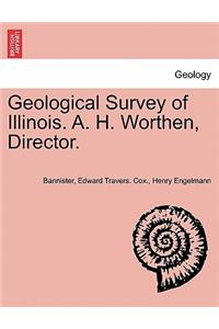 Geological Survey of Illinois. A. H. Worthen, Director.