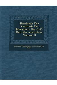 Handbuch Der Anatomie Des Menschen