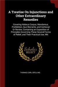 A Treatise On Injunctions and Other Extraordinary Remedies