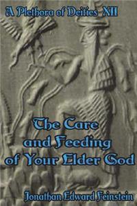 The Care and Feding of Your Elder God