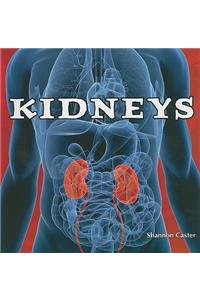 Kidneys