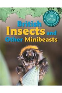 British Insects and other Minibeasts