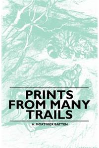 Prints From Many Trails