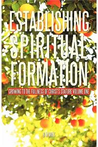 Establishing Spiritual Formation: Growing to the fullness of Christ's stature Volume One