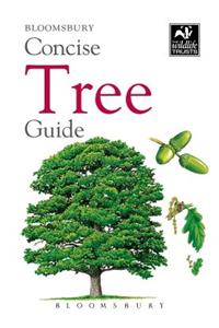 Concise Tree Guide