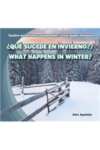 ¿Qué Sucede En Invierno? / What Happens in Winter?