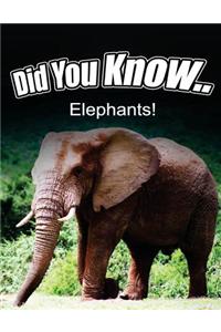 Elephants