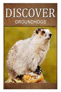 Groundhogs - Discover