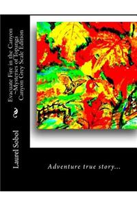 Evacuate Fire in the Canyon Mysteries of Topanga Canyon Grey Scale Edition