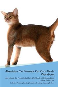 Abyssinian Cat Presents