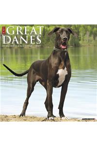 Just Great Danes 2019 Wall Calendar (Dog Breed Calendar)