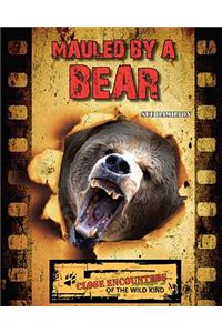 Mauled by a Bear