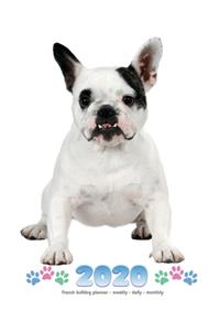 2020 French Bulldog Planner - Weekly - Daily - Monthly