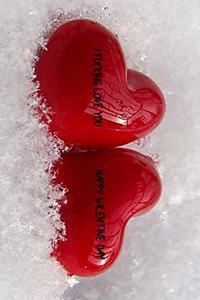 I Fucking Love You Happy Valentine Day