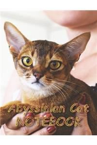 Abyssinian Cat NOTEBOOK