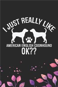 I Just Really Like American English Coonhound Ok?