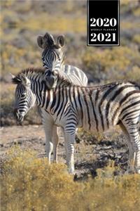 Zabra Safari Africa Savannah Week Planner Weekly Organizer Calendar 2020 / 2021 - Good Friends