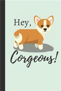 Hey, Corgeous!