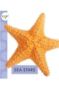 Sea Stars