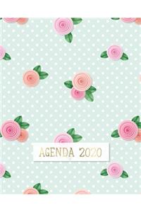 Agenda 2020