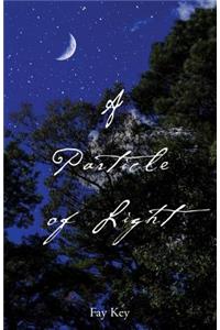 A Particle of Light