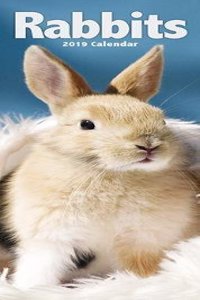 Rabbits Slim Calendar 2019
