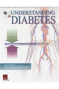 Understanding Diabetes Flip Chart