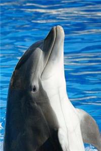 Bottlenose Dolphin Notebook