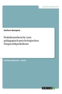 Praktikumsbericht zum pädagogisch-psychologischen Diagnostikpraktikum