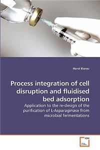 Process integration of cell disruption and fluidised bed adsorption