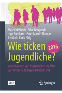 Wie Ticken Jugendliche 2016?