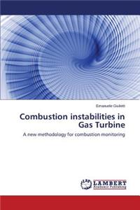 Combustion instabilities in Gas Turbine