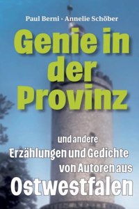 Genie in der Provinz