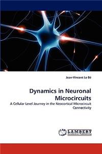 Dynamics in Neuronal Microcircuits