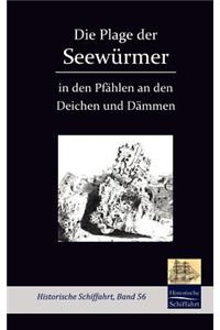 Die Plage der Seewürmer in den Pfählen an den Deichen und Dämmen